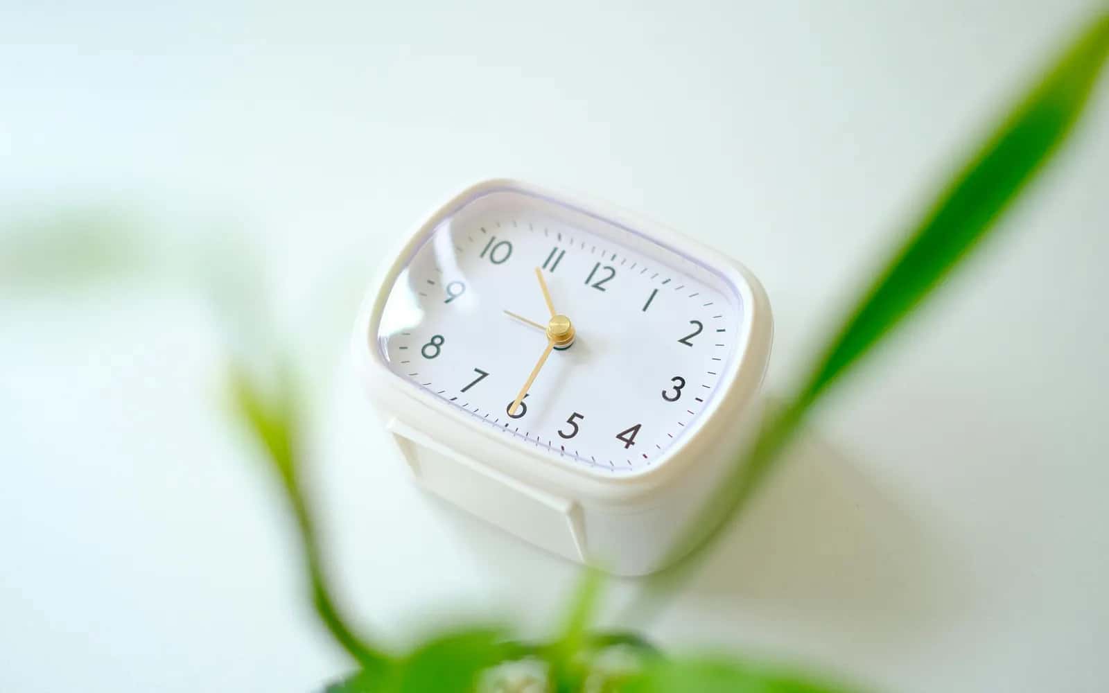 Au Pair Working Hours: UK, Germany & Country Rules
