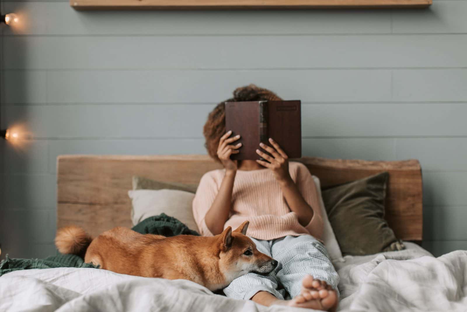 House Sitting in France: How It Works and How to Find Sits