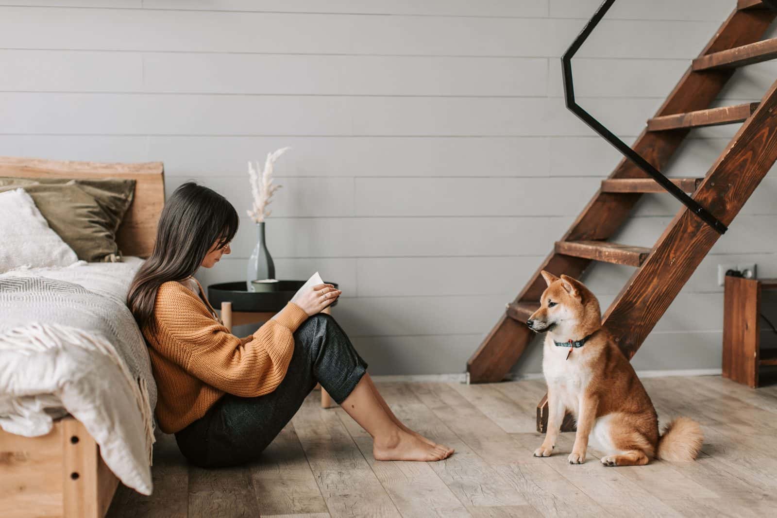 House Sitting in Italy: How It Works and How to Find Sits