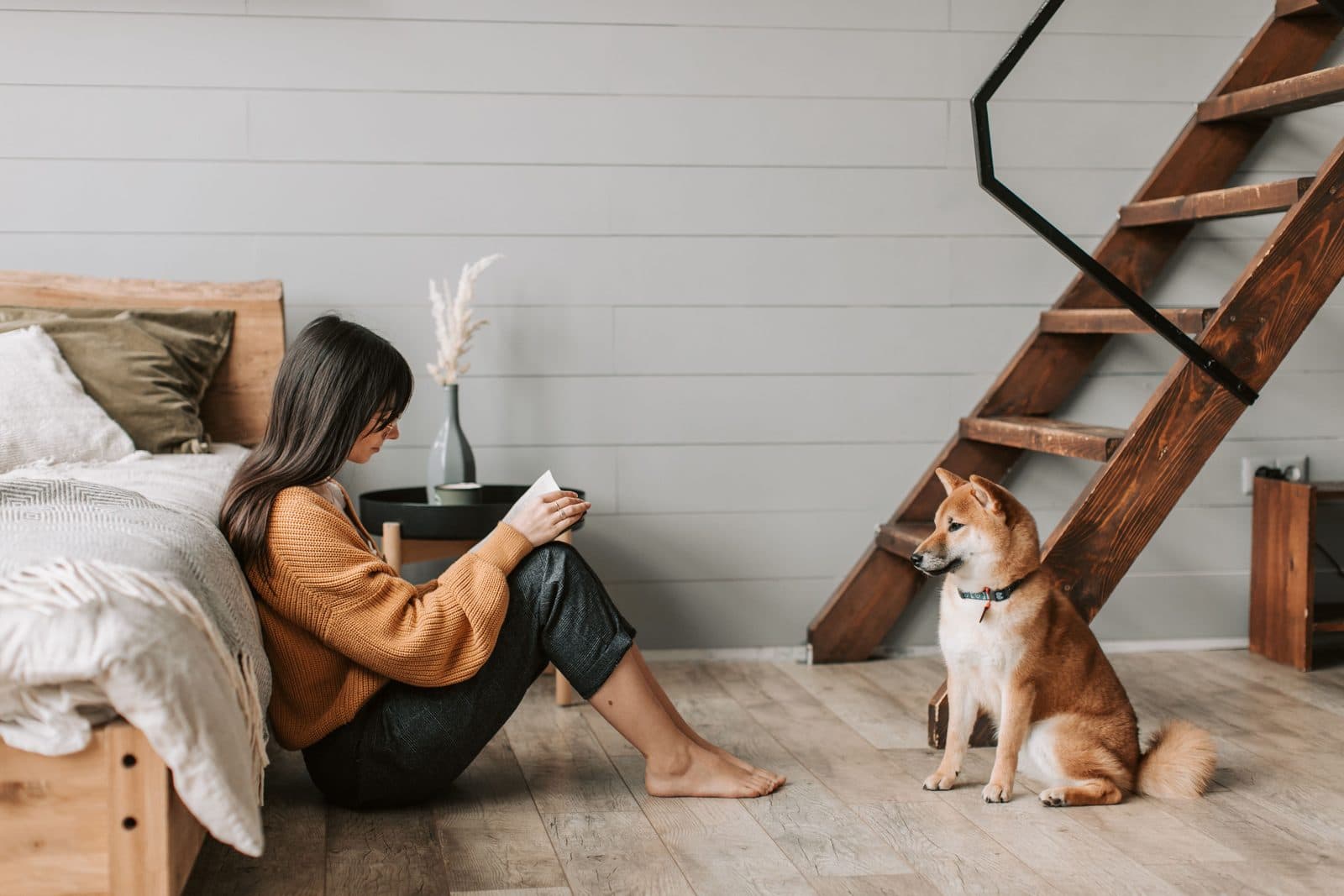 House sitting in Italia: come funziona e come trovare incarichi