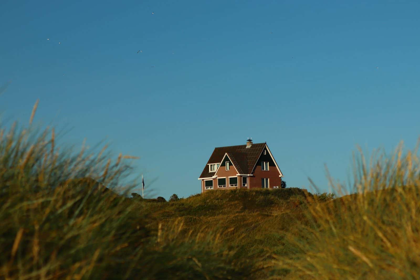 House Sitting in Spain: How It Works and How to Find Sits