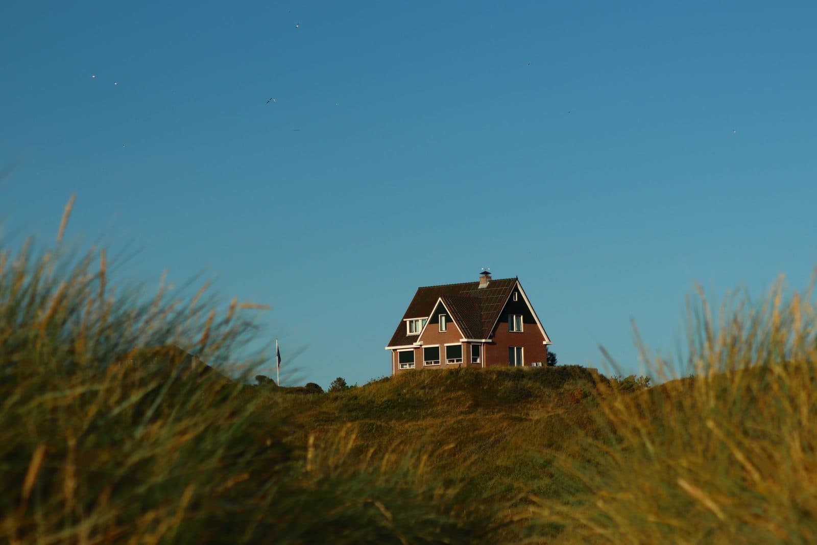 House sitting in Spanje: hoe het werkt en hoe je opdrachten vindt